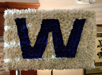S163 Fly The "W" (Cubs) from Fabbrini's Flowers in Hoffman Estates, IL
