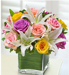 E101 Classy and Colorful from Fabbrini's Flowers in Hoffman Estates, IL