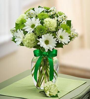 EA114 ST. PATRICK'S DAY  from Fabbrini's Flowers in Hoffman Estates, IL