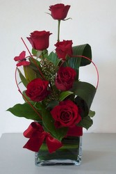 Contemporary half dozen rose arrangement V128 from Fabbrini's Flowers in Hoffman Estates, IL