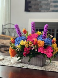 V160 All You Need from Fabbrini's Flowers in Hoffman Estates, IL