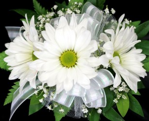 WC113 Daisy Wrist Corsage from Fabbrini's Flowers in Hoffman Estates, IL