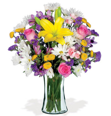 WD105 All You Do from Fabbrini's Flowers in Hoffman Estates, IL