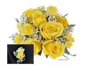 COMBO9 from Fabbrini's Flowers in Hoffman Estates, IL