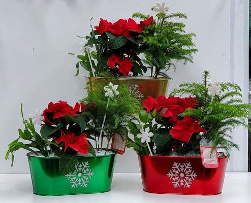 CH201 Christmas Trio from Fabbrini's Flowers in Hoffman Estates, IL