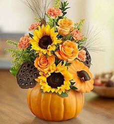 F106 pumpkin one sided arrangement from Fabbrini's Flowers in Hoffman Estates, IL