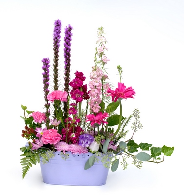 B207 English Garden Pale