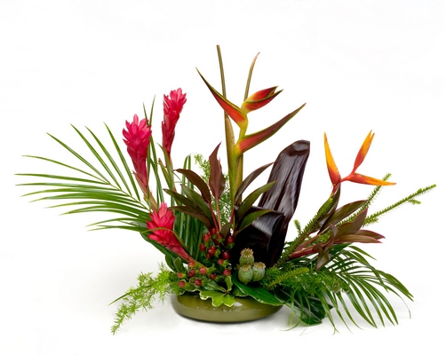 B208 Flowers From The Tropics