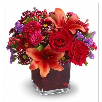 F108 Radiant In Red from Fabbrini's Flowers in Hoffman Estates, IL
