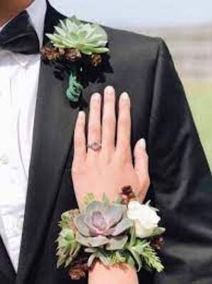 WC116 Green Succulent Wrist Corsage and Boutonniere from Fabbrini's Flowers in Hoffman Estates, IL