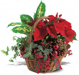 CH104 Holiday Planter Basket from Fabbrini's Flowers in Hoffman Estates, IL