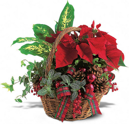 CH104 Holiday Planter Basket