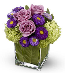 Simply Charming from Fabbrini's Flowers in Hoffman Estates, IL