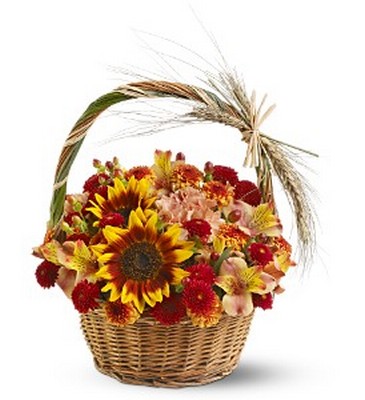 Harvest Basket from Fabbrini's Flowers in Hoffman Estates, IL