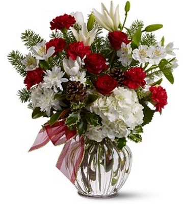 TF-WEB255 Christmas Tradition from Fabbrini's Flowers in Hoffman Estates, IL