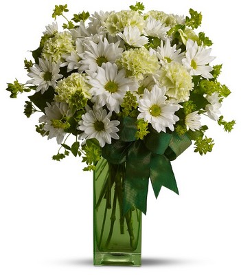 St. Patrick's Day from Fabbrini's Flowers in Hoffman Estates, IL