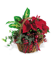 Holiday Planter Basket from Fabbrini's Flowers in Hoffman Estates, IL