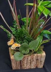 P195 Woodland Theme from Fabbrini's Flowers in Hoffman Estates, IL